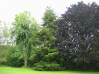 annonces immobiliere seine-et-marne